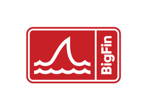 BigFin Beachwear